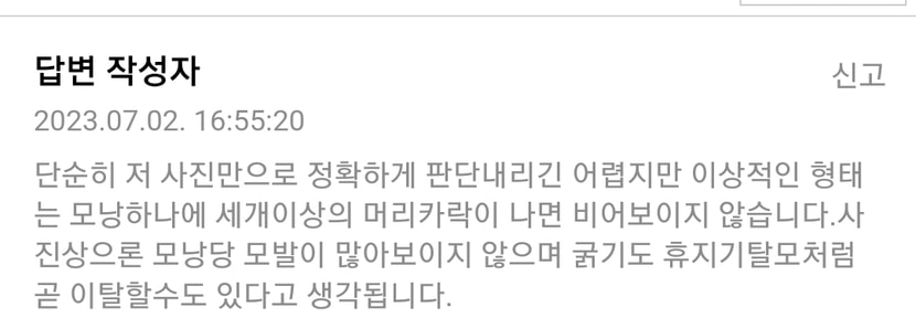 인터넷 익명 답변