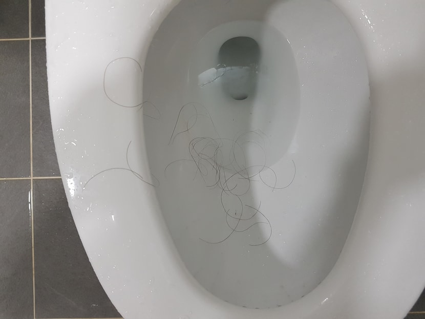 약복용초기 머리드라이시때 빠짐