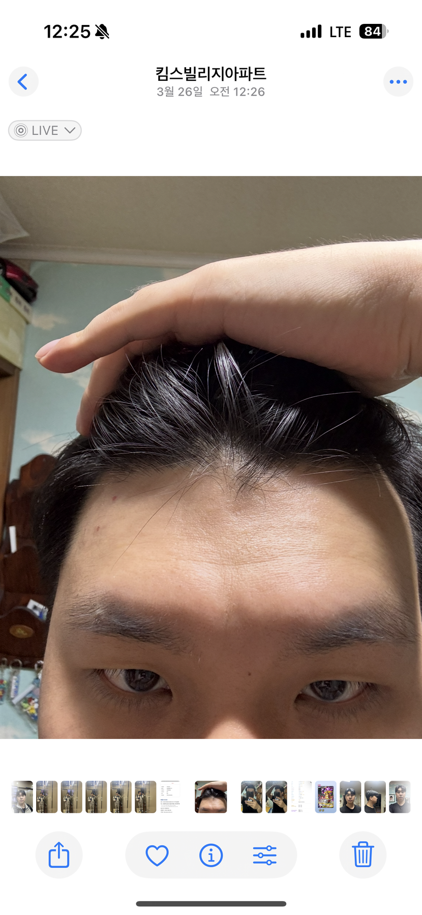 올해4월