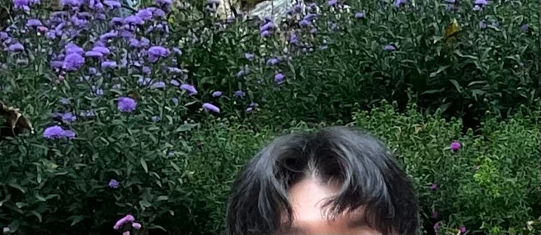 1년전 여름