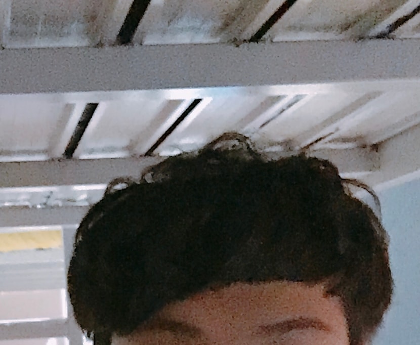 2017년도 아보다트 시작