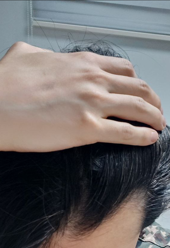 오늘