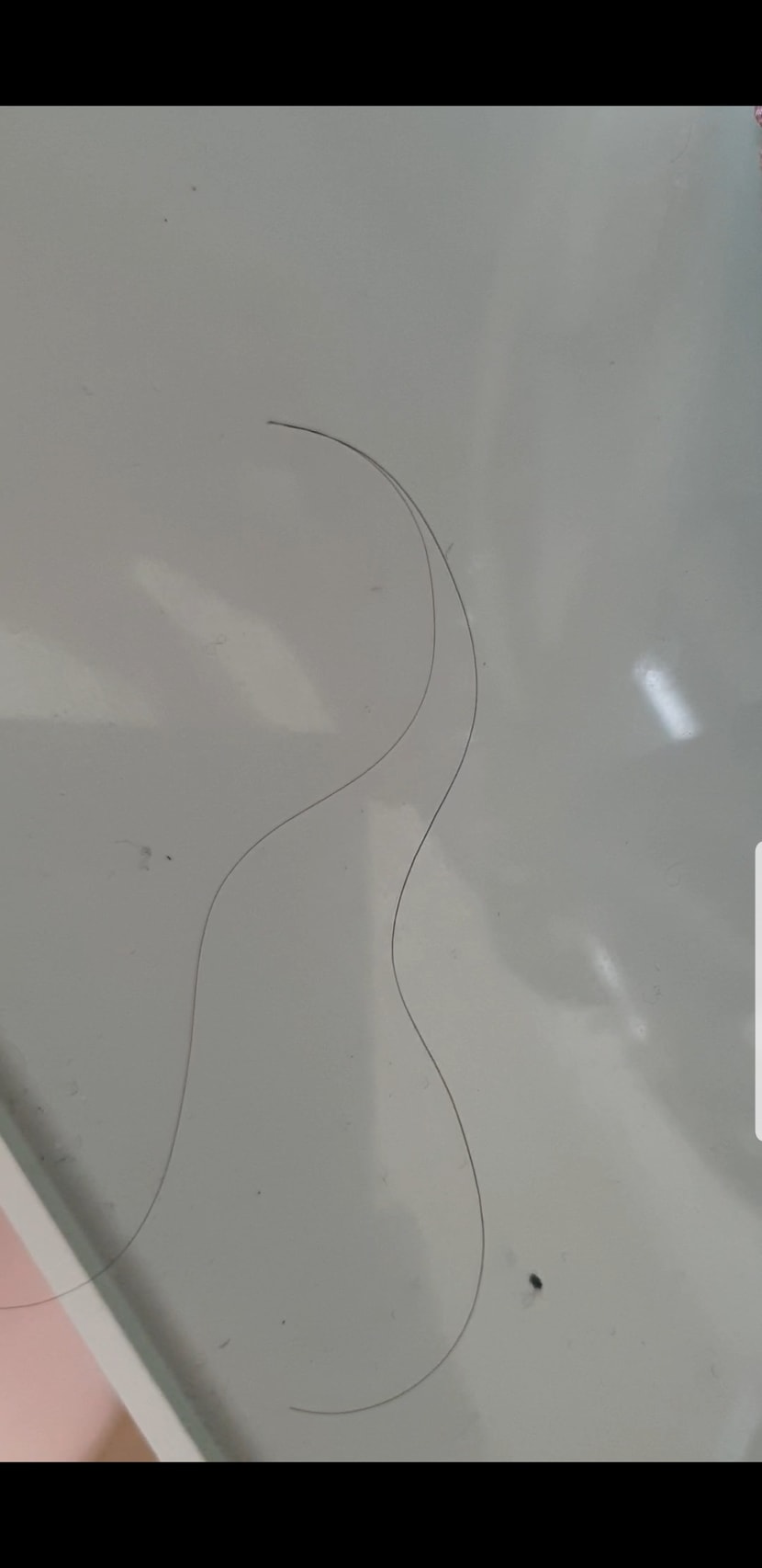 머리카락