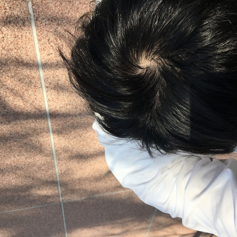햇빛 정통