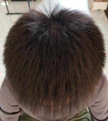 일반 사진