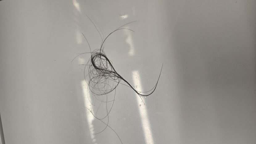 샤워후빠진머리