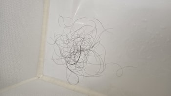 하루 머리안감고 샤워후 빠진머리