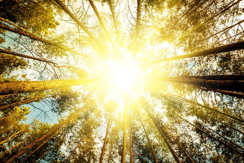 AGA治療薬を服用して考察する禁欲と薄毛