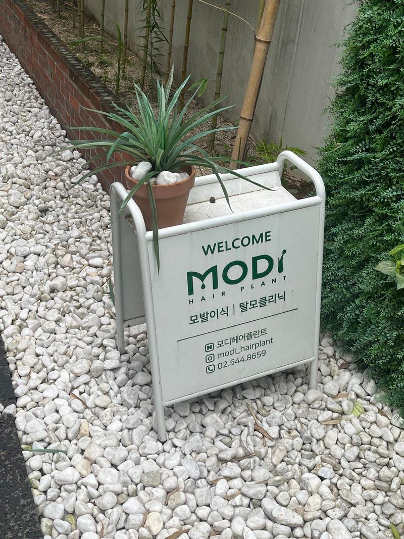 저 드디어 모발이식 하고 왔습니다