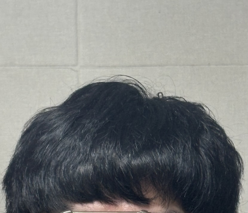 빗질 전