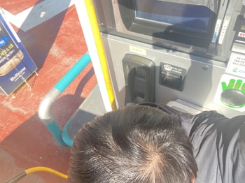 살짝 떡진 상태에서 직사광선 맞았을때