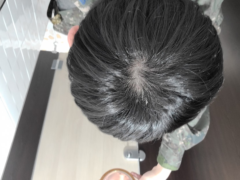 오늘