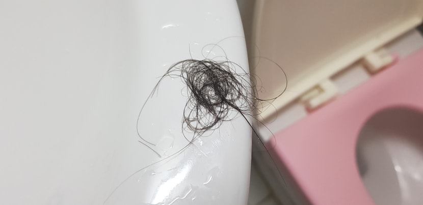 왤케 많이빠지지.. 쉐딩인가..