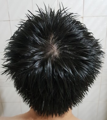 젖은 정수리