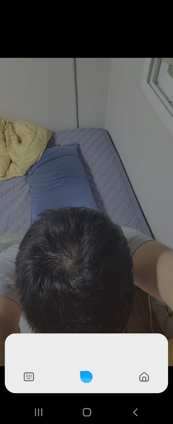 정수리
