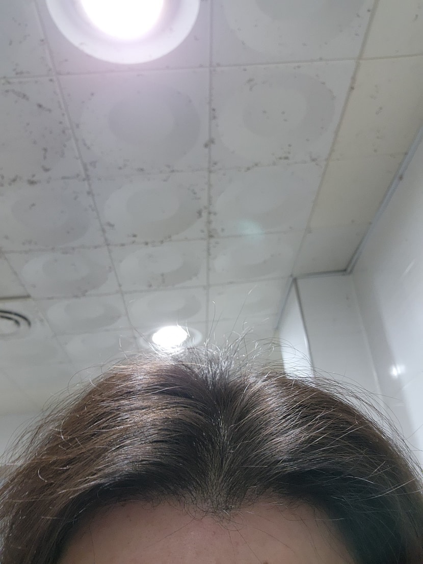 개선 21개월차