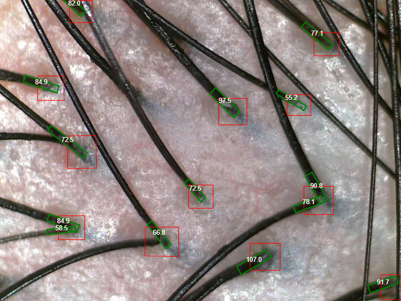 KakaoTalk_20260415_181042631_01.png