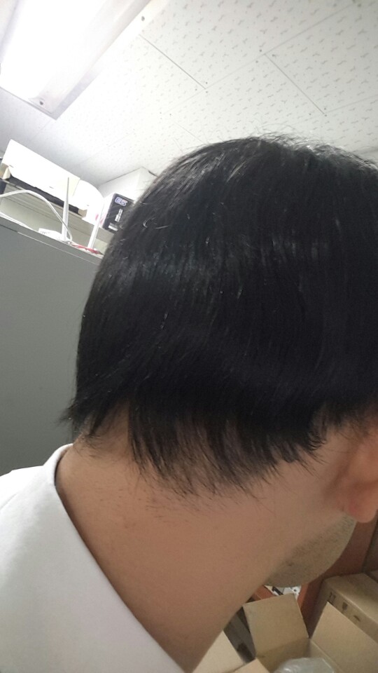 이것도 역시..