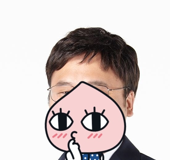 예전에 쓰던 가발