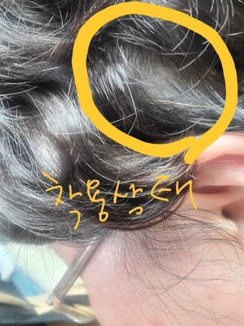 본머리와 가발을 밀어버려서 빈속살다보임