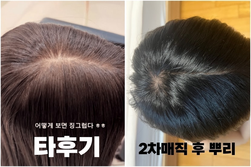 모모란 위그 뿌리 휘어짐 타후기와 비교