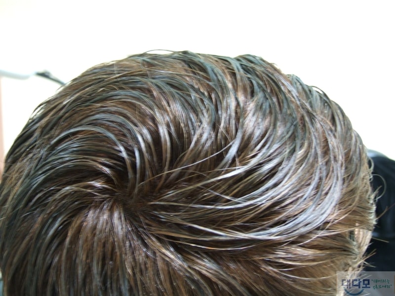 2007_0206담기0022.JPG