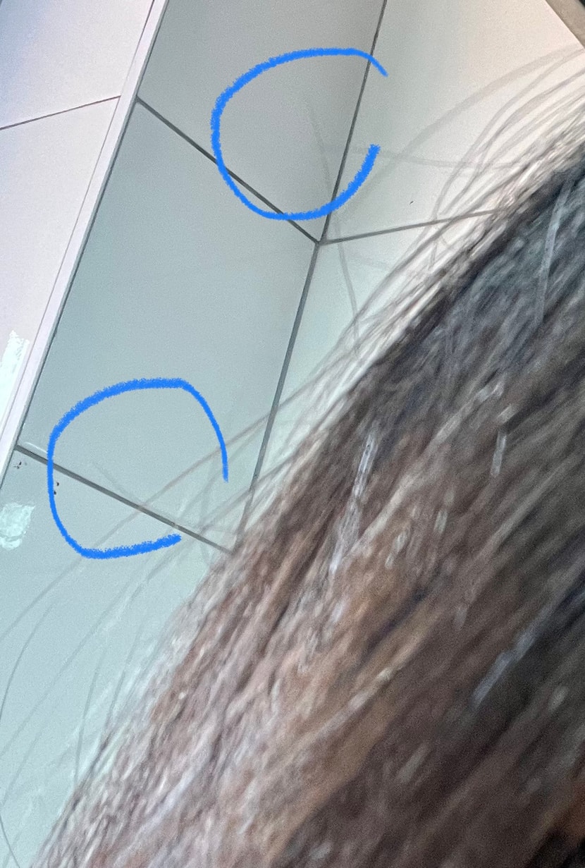 요렇게 꼬불꼬불하고 날리는 잔머리들이 넘 많아요..