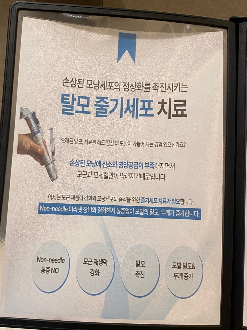 체크주사