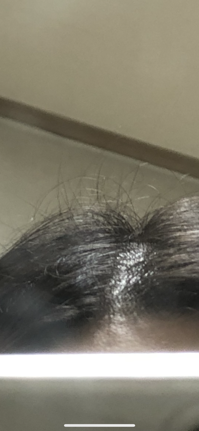 잘안보이지만 실제로 제눈엔 잘보이는 새싹 ㅠ