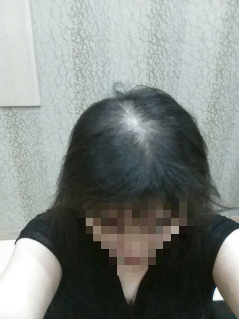 가모전
