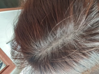 현재