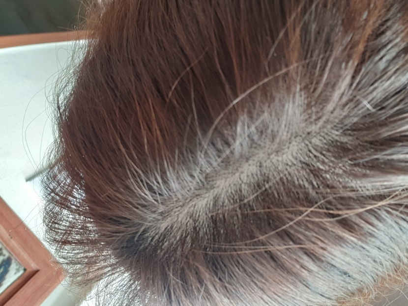 현재
