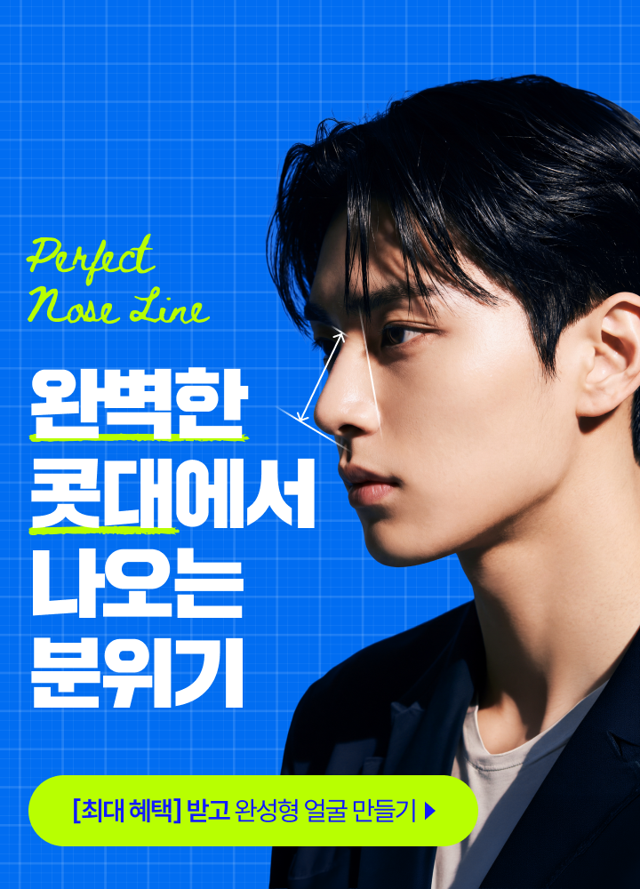 완벽한 콧대