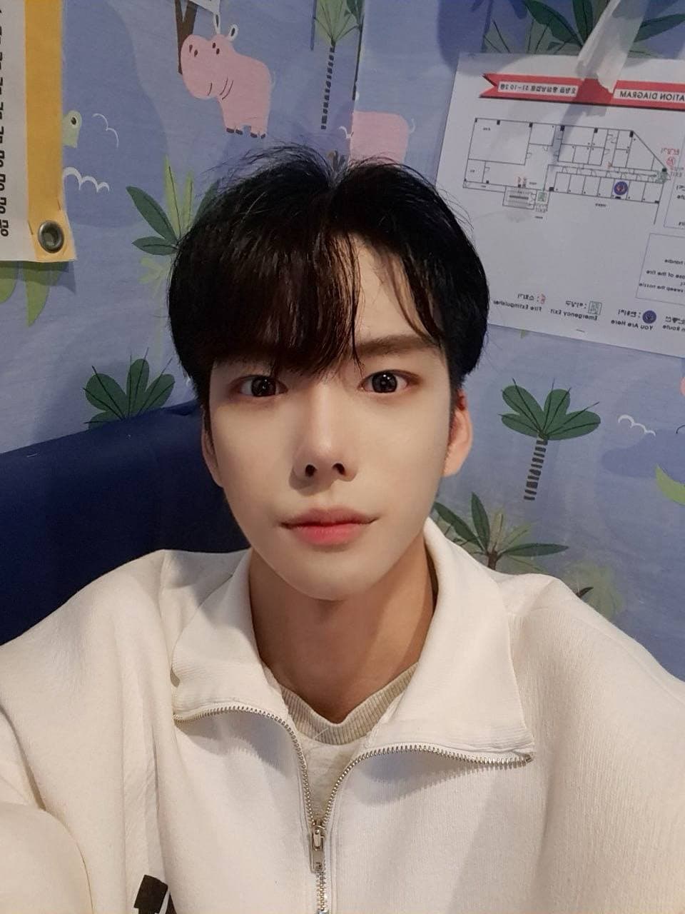 졍이님의 시술후기