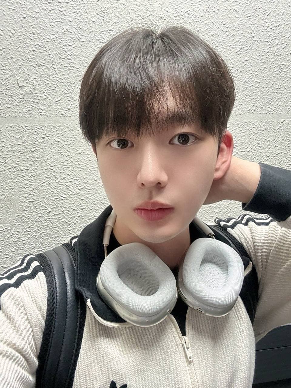 칠팔구장이님의 시술후기