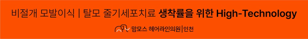 인천맘모스