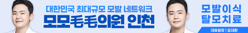 모모 인천