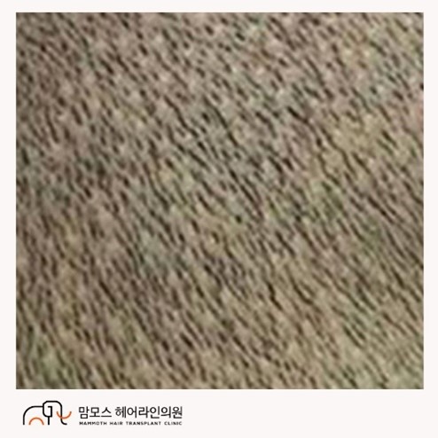 bb8a66127045b8a09b77c13961b8a157_1686202038_8706.jpg