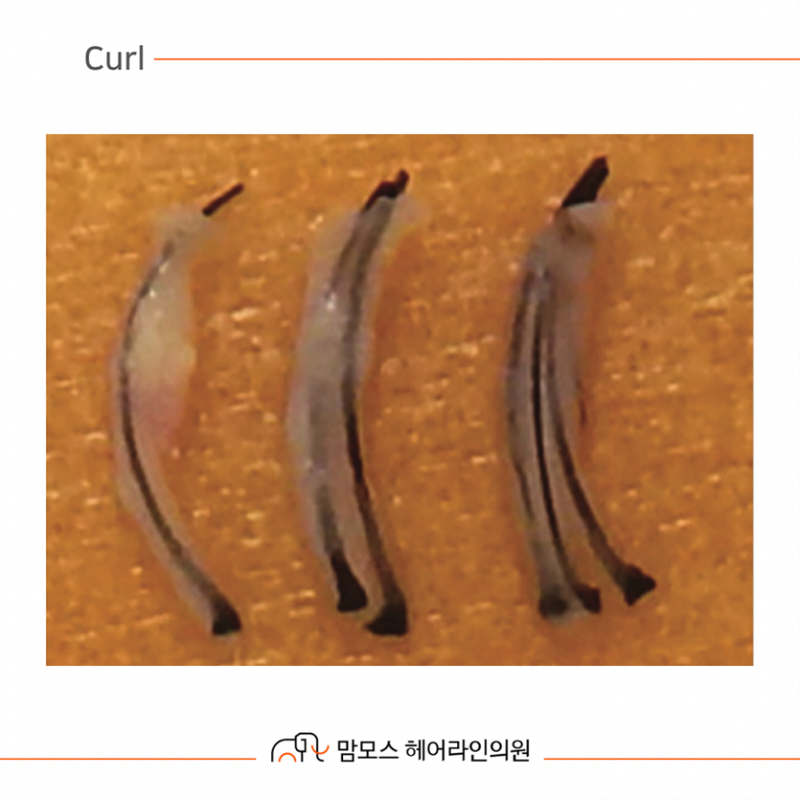 df3f98a5924f6c229b691d529d55f1d1_1709183380_2322.png