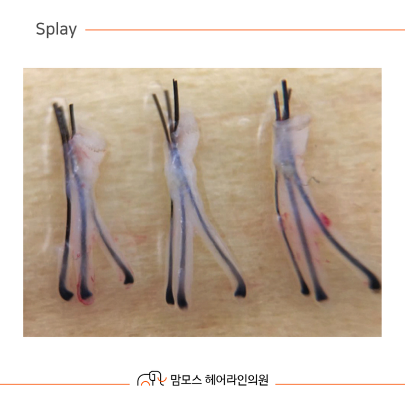 df3f98a5924f6c229b691d529d55f1d1_1709183395_3388.png