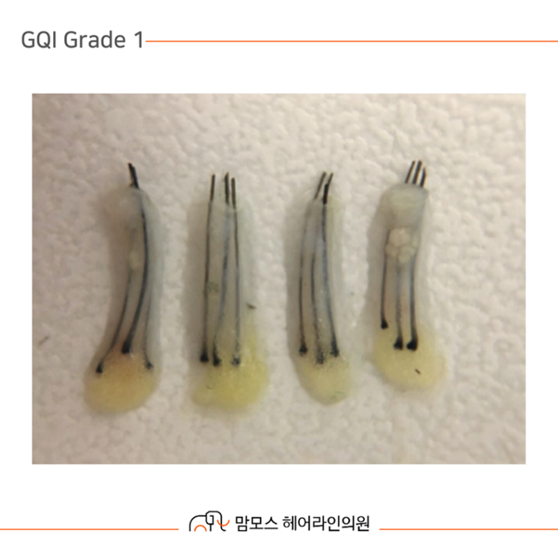 df3f98a5924f6c229b691d529d55f1d1_1709183466_5194.png