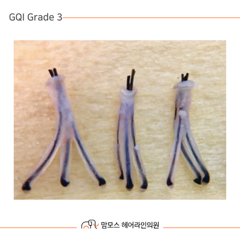 df3f98a5924f6c229b691d529d55f1d1_1709183502_47.png