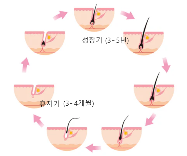 268cb8ba73c216d84028c8a1ce6ecf76_1719539191_4622.png