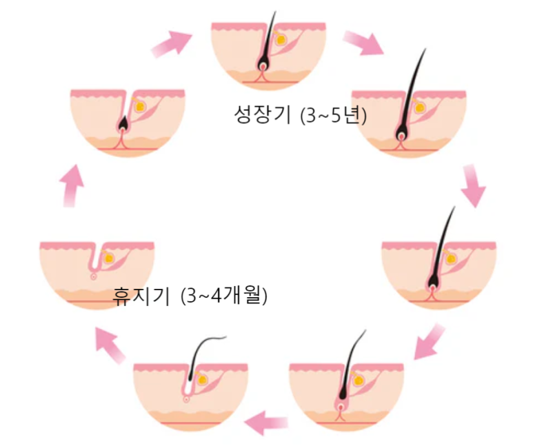 268cb8ba73c216d84028c8a1ce6ecf76_1719539191_4622.png