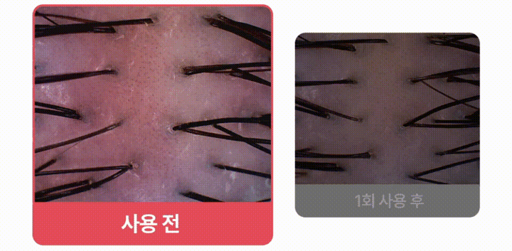 baf6b70b99598afe5fc34ede514b1c8b_1721009780_7148.gif baf6b70b99598afe5fc34ede514b1c8b_1721009780_7148.gif
