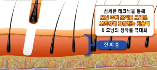 a2aa03b6d6e991cc15875c40228cdbb7_1766472457_1631.png a2aa03b6d6e991cc15875c40228cdbb7_1766472457_1631.png