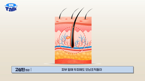 eef47914f4ce5e70425da588c917d22b_1764580032_6873.png