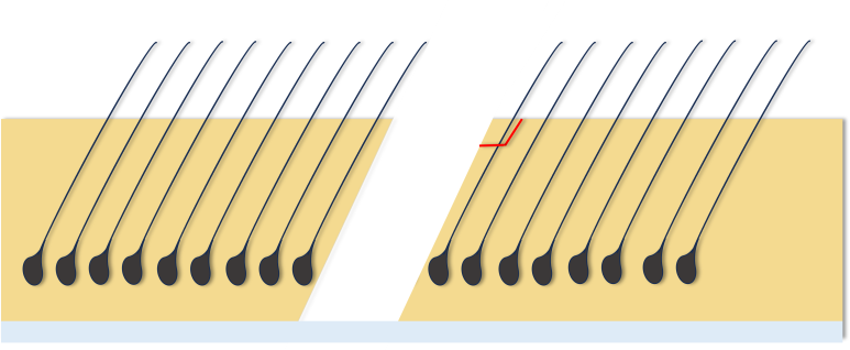 1dbf58a14d5c587ffb811103f9eeca31_1767574045_3739.png
