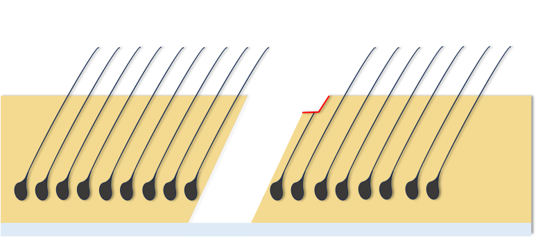 1dbf58a14d5c587ffb811103f9eeca31_1767574055_0343.png