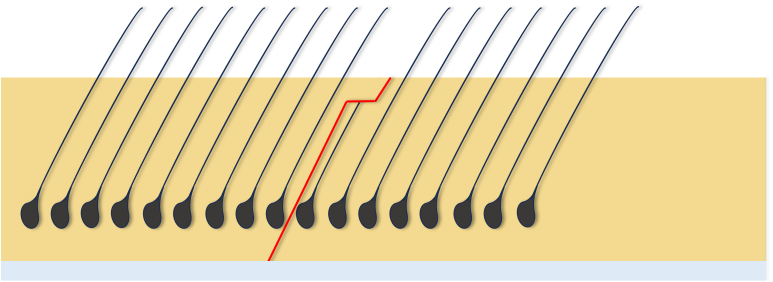 1dbf58a14d5c587ffb811103f9eeca31_1767574062_3988.png
